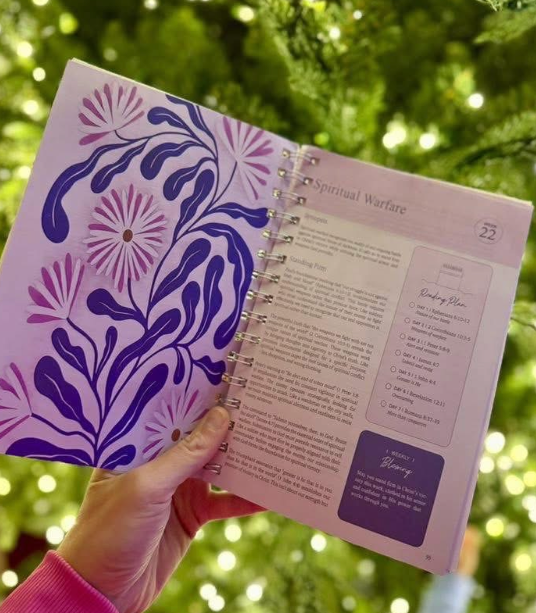 BIBLE IN A YEAR