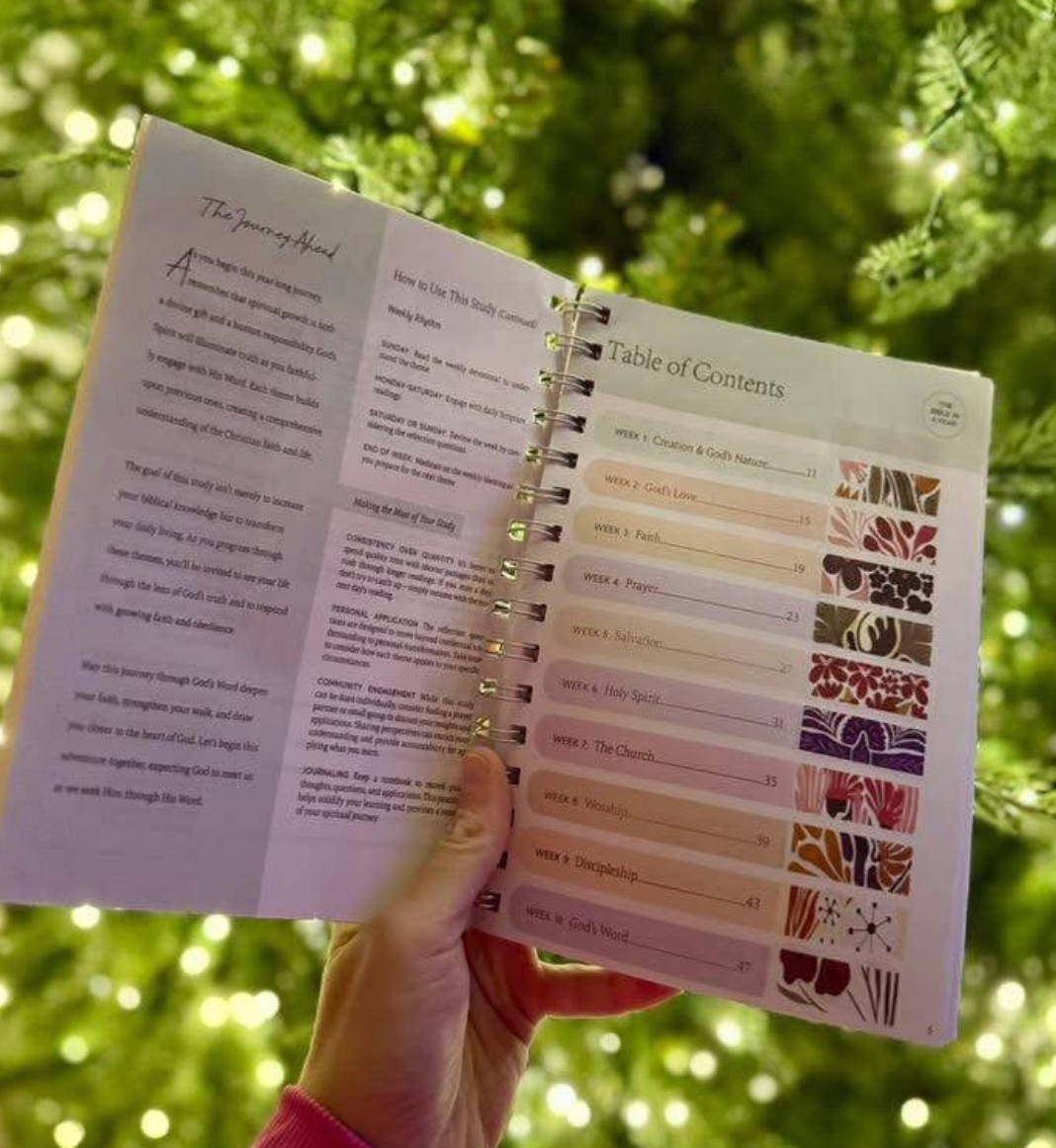 BIBLE IN A YEAR